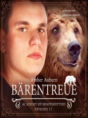 cover image of Bärentreue, Episode 11--Fantasy-Serie